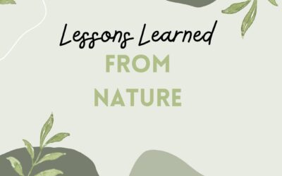 Lessons Learned from Nature